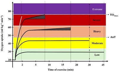 Training zones in competitive swimming: a biophysical approach